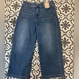 Madewell Perfect Vintage Wide-leg Crop Jean NWT 28P